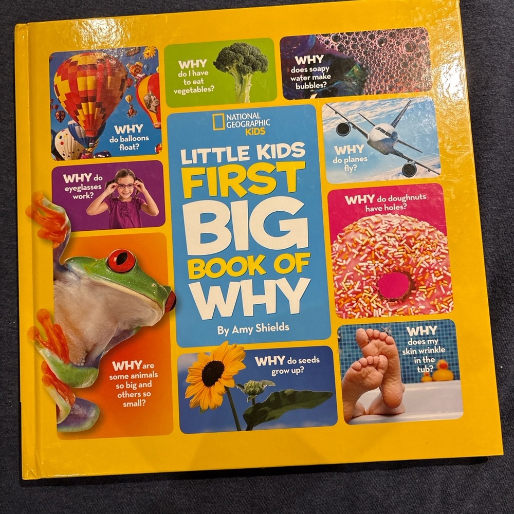 National Geographic Little Kids First Big Book of Why - Bright Yellow